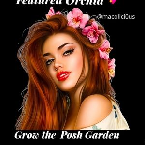 I was featured today!! 🌹 🌼 🌷